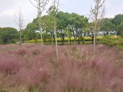 -嘉北郊野公园