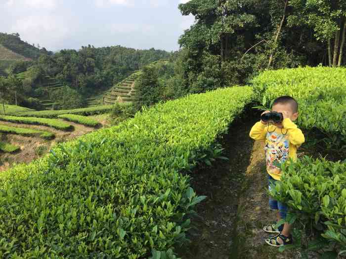 揭西大洋云雾山庄-"处在大山里边比较难找,空气比较好.