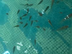 -明月山天沐温泉度假村