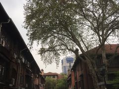 -殷姐糯米包油条