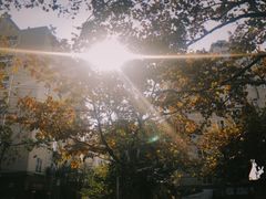 -八大关景区