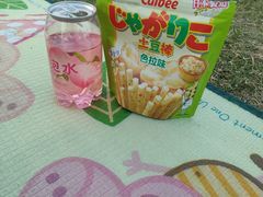 -钟山体育运动公园