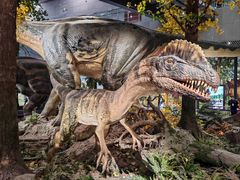 -湖南省地质博物馆