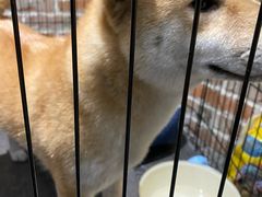 -呼吸沉浸式剧场(甘露园店)