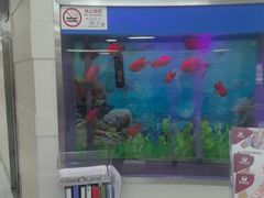 -雅悦齿科(顾村公园店)
