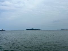 -幸福门