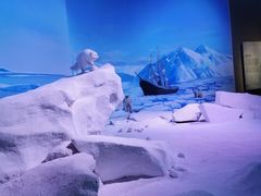 -贝林大翅鲸简餐厅(国家海洋博物馆店)