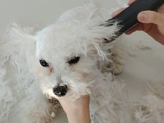 -北京观赏动物医院·24小时大型综合·猫专科·异宠专科