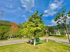 -马峦山郊野公园