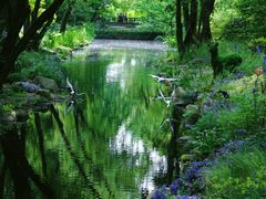 -上海共青森林公园