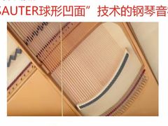-秦川乐器(河西店)