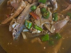 -鱼乐岛餐厅·户外花园主题餐厅