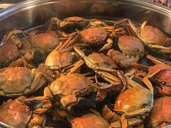 -北京园博大酒店