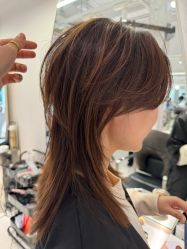 -SALON DE VANHADA