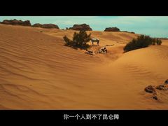 -SFC上影影城(新世界店)