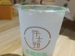-德禄酸奶(莫家街店)