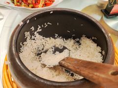 -饭怕鱼·黄焖鲟龙鱼(湖大店)