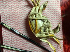 -七星龙虾城·海鲜·大闸蟹(吴江店)