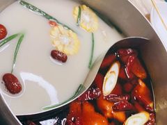 -青瓷火锅料理(西单大悦城店)