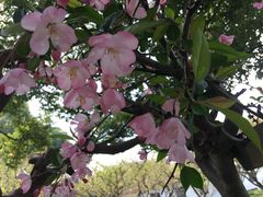 -荆川公园