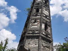 -上海佘山国家森林公园天马山园