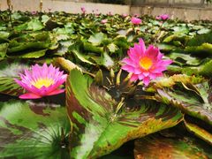 -汉丽轩韩式自助烤肉(大学城龙湖U城天街A馆店)