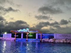 -三亚海昌梦幻海洋不夜城