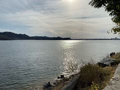 -望湖烤鱼