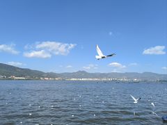 -海埂大坝
