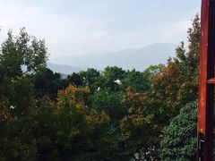 -溪口-滕头旅游景区