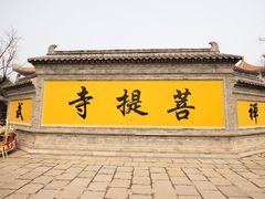 -台儿庄古城