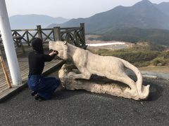 -江南天池
