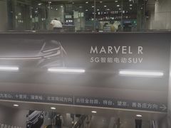 -大望路(地铁站)