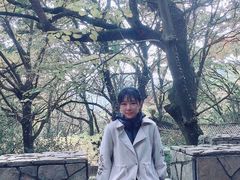 -穹窿山景区
