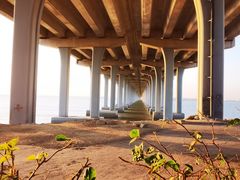 -宝安西湾红树林湿地公园