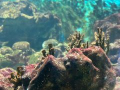 -海合安武汉极地海洋公园