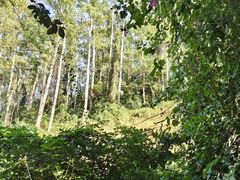 -水濂山森林公园