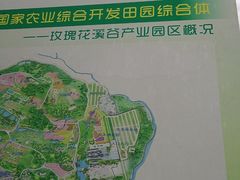 -都江堰玫瑰花溪谷
