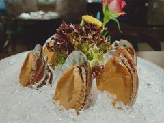 手工冰镇鲍鱼-木棉·醉心粤味(COCO Park店)
