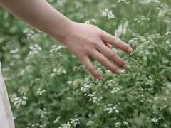 -两河城市森林公园