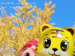 -长白岛森林公园