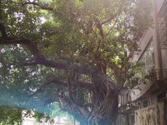 -小洲村