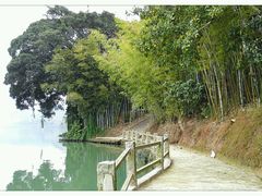 android_upload_pic-苏家围·东江画廊旅游景区