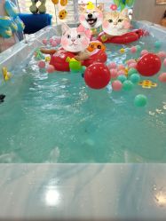 点击看大图 -爱生活·产后修复·婴幼儿游泳馆