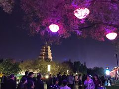 -大雁塔北广场音乐喷泉