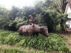 -溱湖国家湿地公园