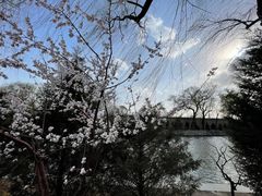 -颐和园
