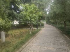 -韩城古城