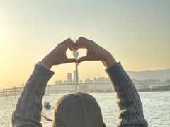 -澳门环岛游湾仔码头