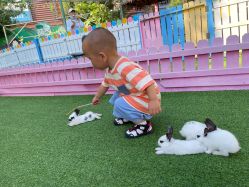 -萌宠亲子动物乐园(槐房万达店)